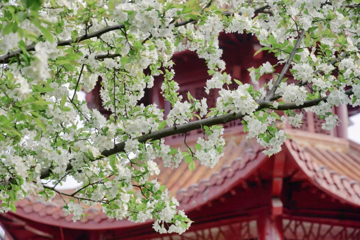 南阳摄影学校：如何利用光影提升摄影作品？